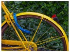Yellow Bike Yellow Bike