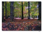 Autunno Autunno