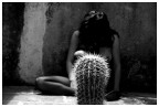 ...il potere del cactus (prima) ...il potere del cactus (prima)