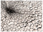 Desertificazione Desertificazione