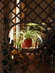 Un raggio di luce Un raggio di luce