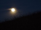 Moon rising Moon rising