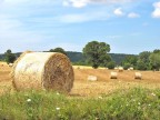 Campo di fieno Campo di fieno
