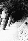 Parc Guell #2 Parc Guell #2