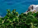 I colori della mia terra I colori della mia terra