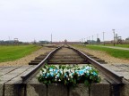 La ferrovia della morte. La ferrovia della morte.