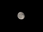 Luna Luna