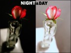night&day night&day