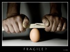 Photo Contest: "Fragile"