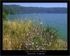 Lago Castel Gandolfo! Lago Castel Gandolfo!