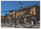 Bicicletta Bicicletta