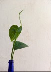 L'Airone L'Airone
