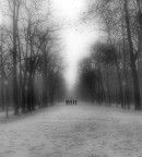 passi nella nebbia... passi nella nebbia...