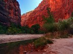 Red Zion Red Zion