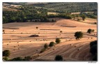 Proprietà differenti o differenti proprietari Proprietà differenti o differenti proprietari