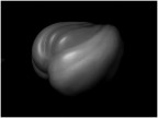 Tribute to Edward Weston Tribute to Edward Weston