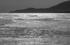 aspettando le onde in un mare d'argento aspettando le onde in un mare d'argento