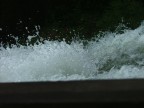 acqua acqua