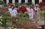Angeli fra le rose Angeli fra le rose