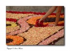 Infiorata Infiorata