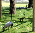 PARCO LE CORNELLE PARCO LE CORNELLE