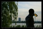 ad Amburgo c' un punto del lago cittadino chiamato "Alstererle", perla dell'Alster. Da qui si godono bellissimi tramonti con cigni, anatre e altri animali che fanno da compagnia. Essendo in Germania non poteva mancare neanche qui una buona birra...