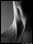 Neck 1 Neck 1