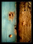 From Sand to Sea From Sand to Sea