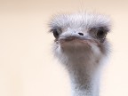 Ehi tu! Guarda che prima o poi ti becco! Ehi tu! Guarda che prima o poi ti becco!