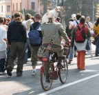 manifestazione manifestazione