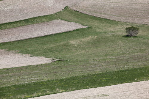 002castelluccio26maggio2011.JPG