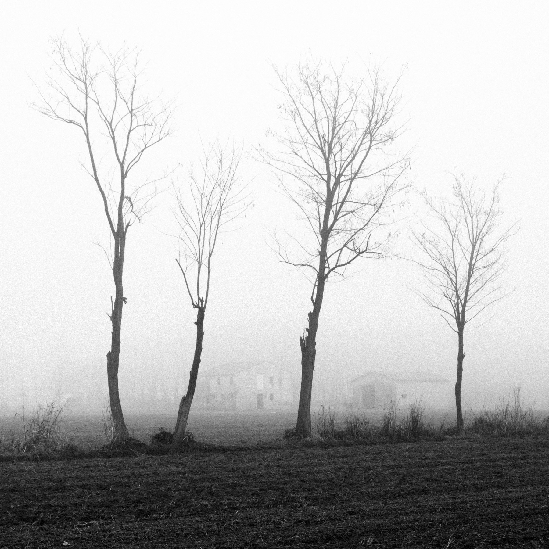01012022-Piazzola-51.jpg