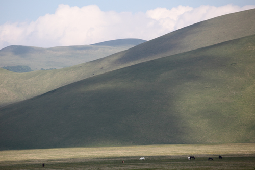 010Castelluccio 26maggio2011.JPG