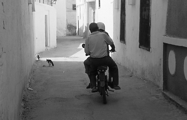 041.jpg