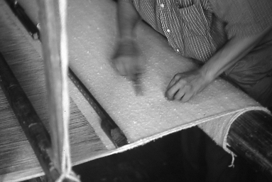 049.jpg