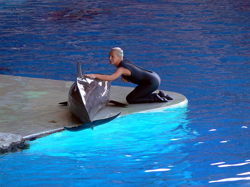 04 4u P1110648 (Medium).jpg