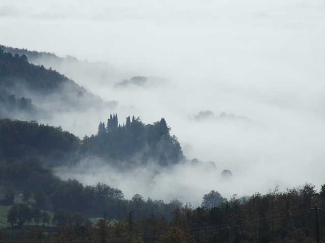 0511130023 photo 4.JPG