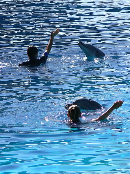 05 4u P1110642 (Medium).jpg