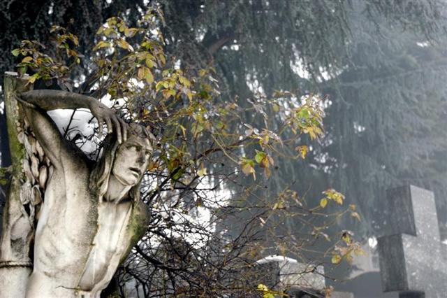 05a (Medium) (Small).jpg