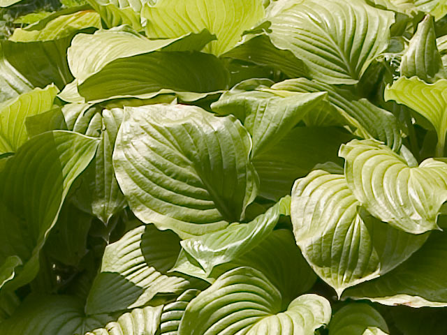 05crop.jpg