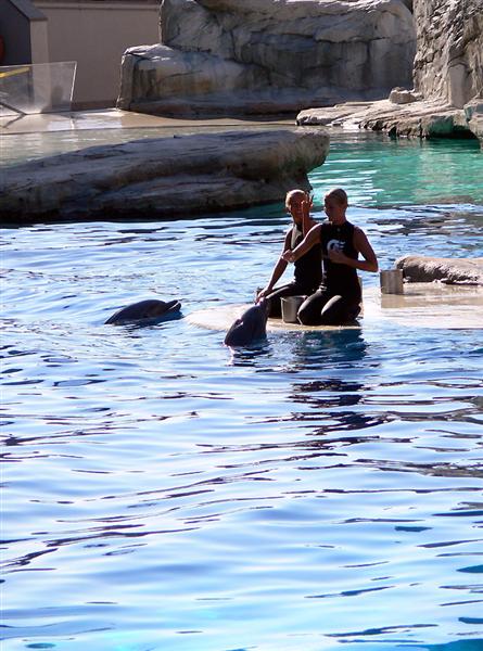 06 4u P1110667 (Medium).jpg