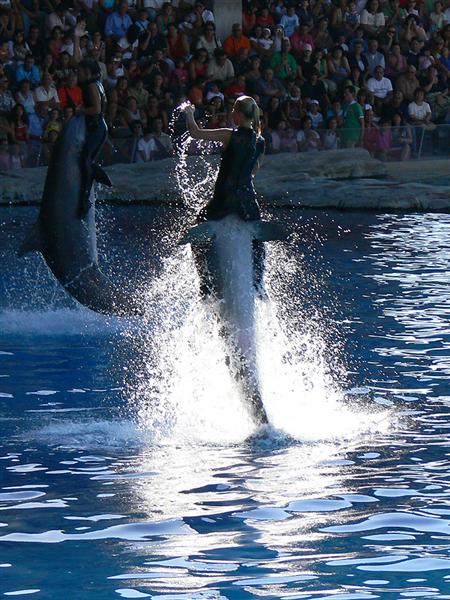 07 4u P1110686 (Medium).jpg