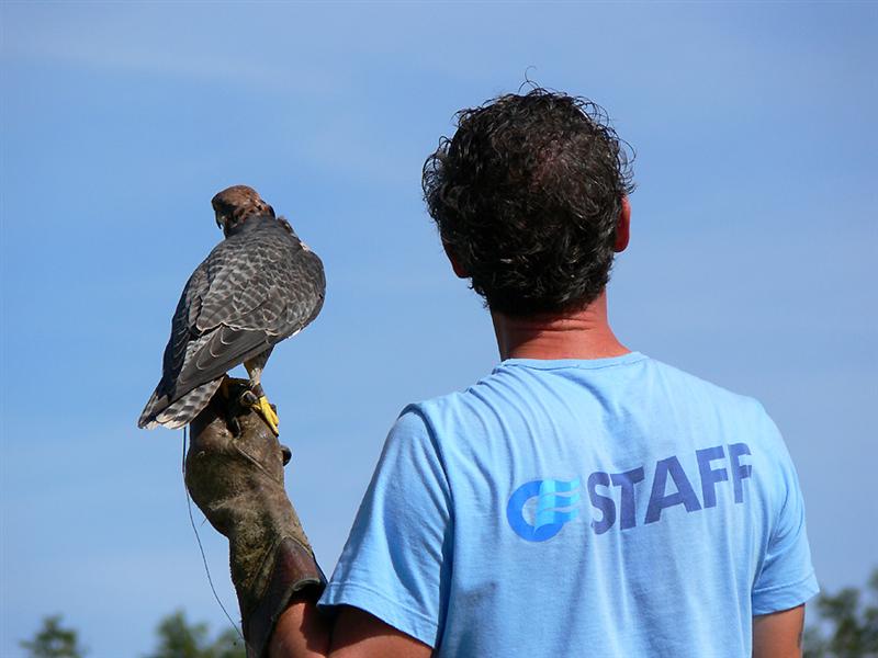 08 4u P1110601 (Medium).jpg