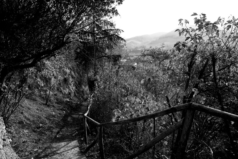 1-BRISIGHELLA---controvia-degli-asini-sentiero-B&W.jpg