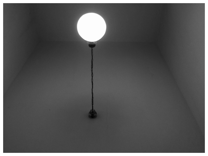 10711031_10204962615614522_1185900752210616818_n.png