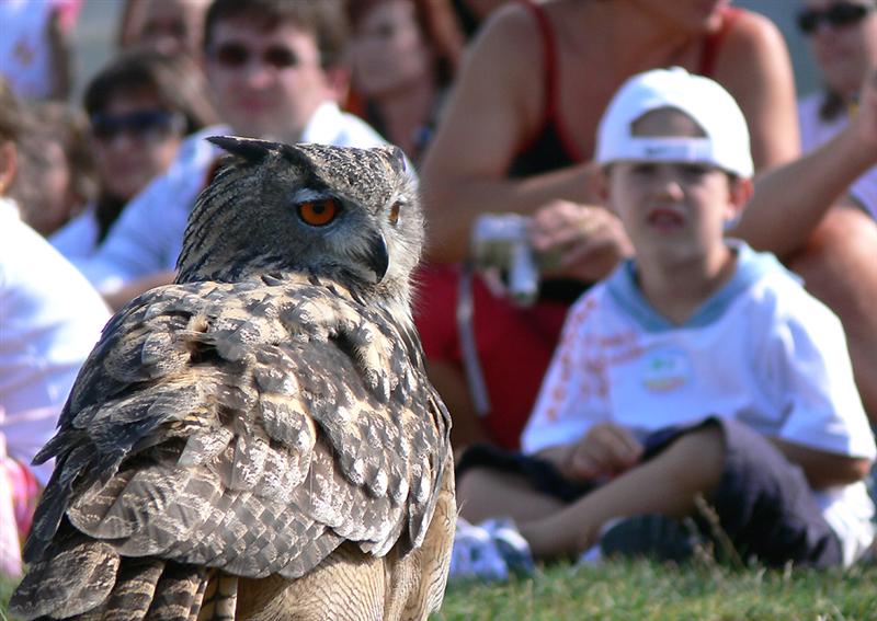 10 4u P1110582 (Medium).jpg