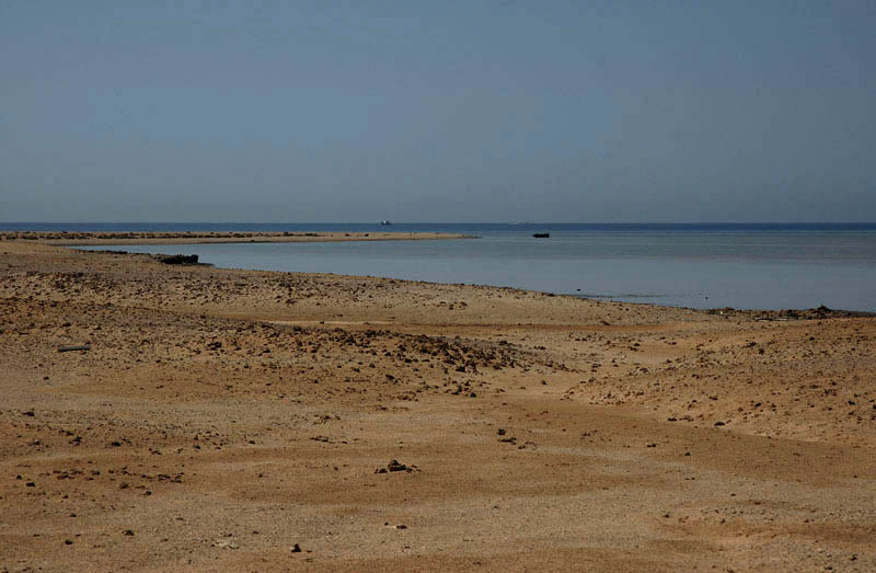 10a.jpg