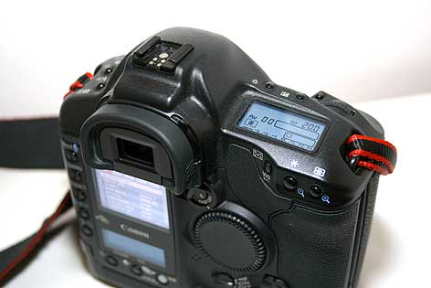 1DMKII_MG_7839.jpg