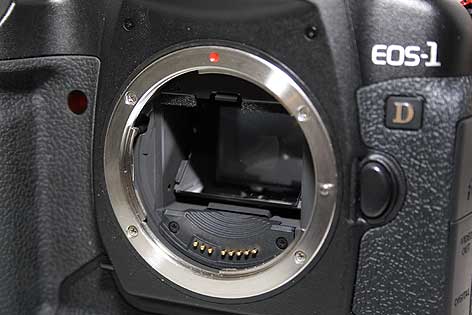 1DMKII_MG_7844.jpg