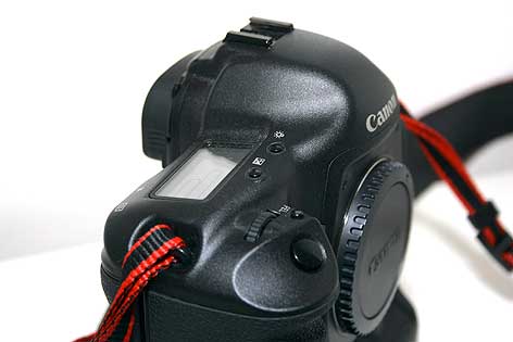 1DMKII_MG_7845.jpg